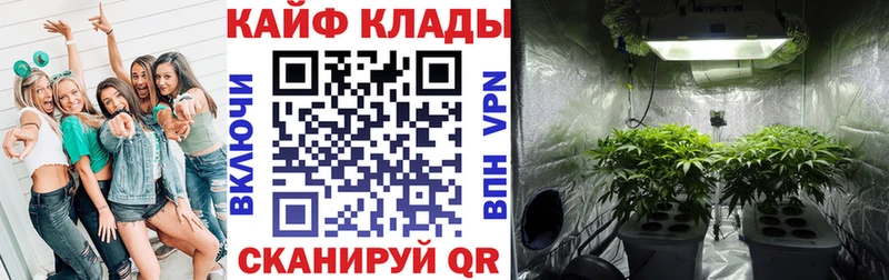 Магазин наркотиков Великие Луки A-PVP  КОКАИН  Меф мяу мяу  Бошки Шишки  ГЕРОИН  Гашиш 