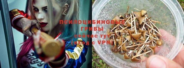 дмт Белоозёрский