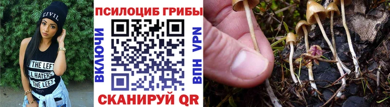 Псилоцибиновые грибы мицелий  как найти закладки  Великие Луки 
